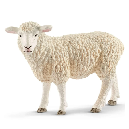 Mouton