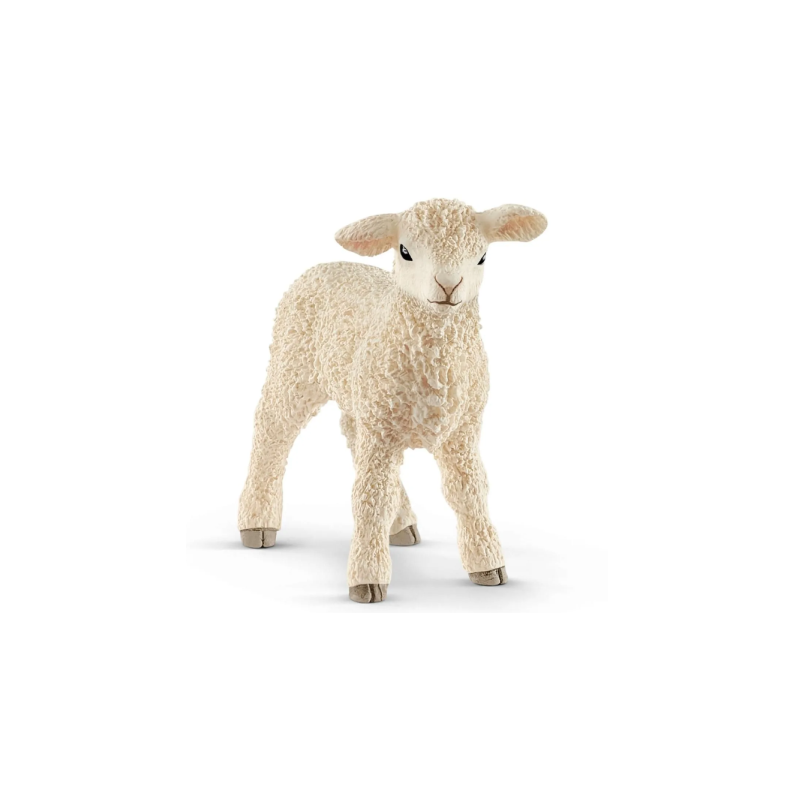 Agneau
