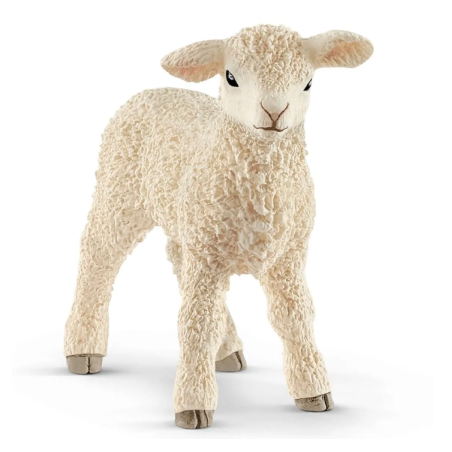 Agneau