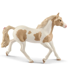 Jument Paint Horse