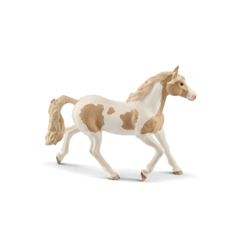 Jument Paint Horse