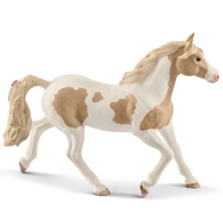 Jument Paint Horse