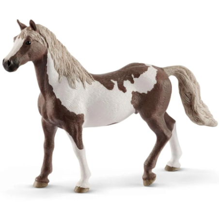 Hongre Paint Horse