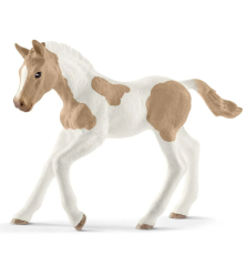 Poulain Paint Horse