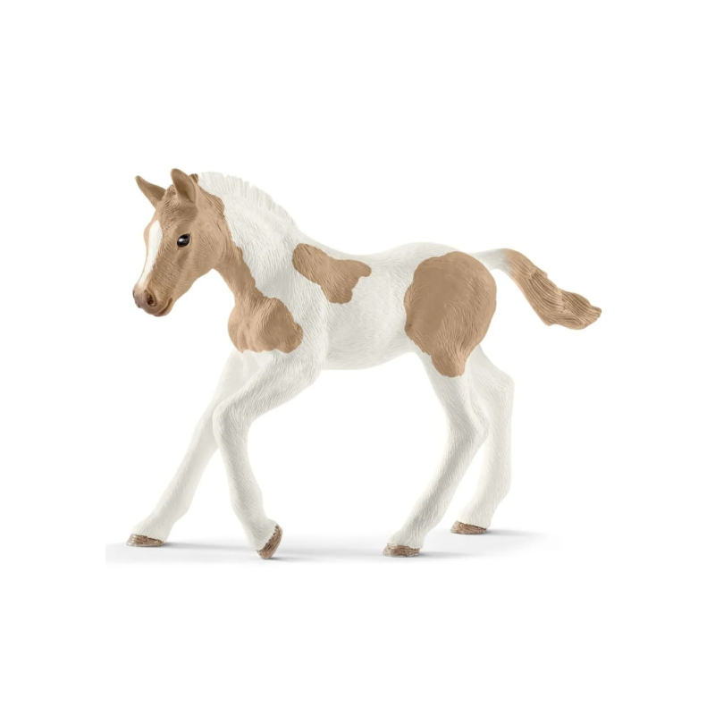 Poulain Paint Horse