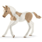 Poulain Paint Horse