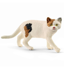 American Shorthair