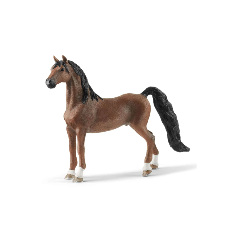Hongre Saddlebred