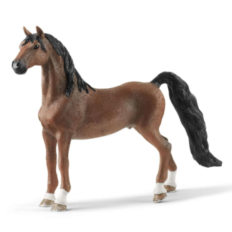 Hongre Saddlebred