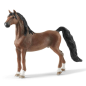 Hongre Saddlebred