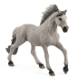 Etalon  Mustang Sorraia