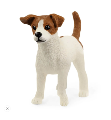 Jack Russell terrier