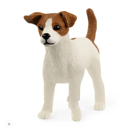 Jack Russell terrier