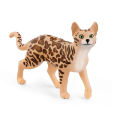 Chat Bengal