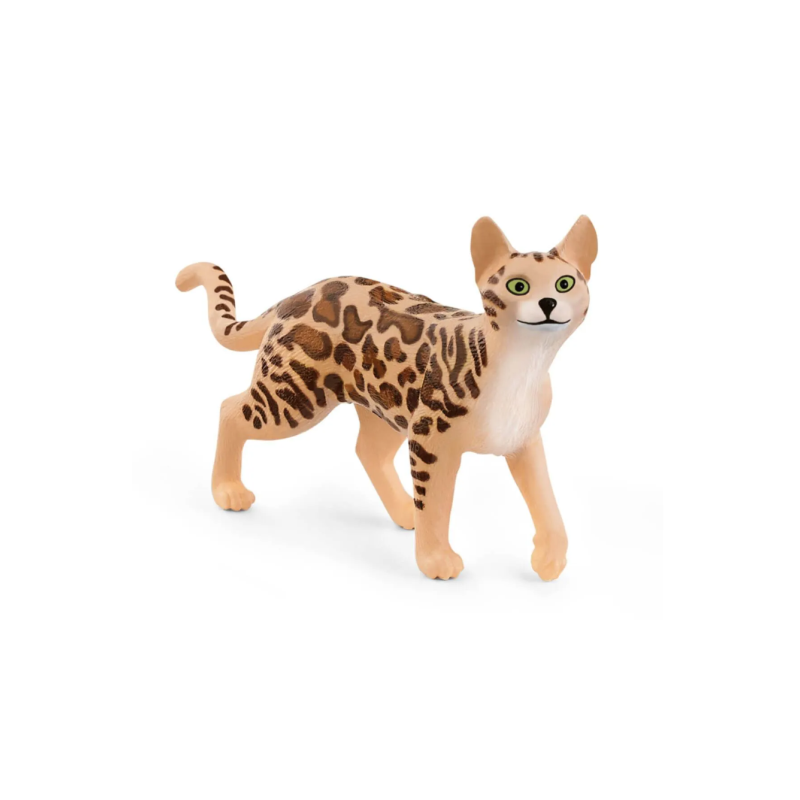 Chat Bengal