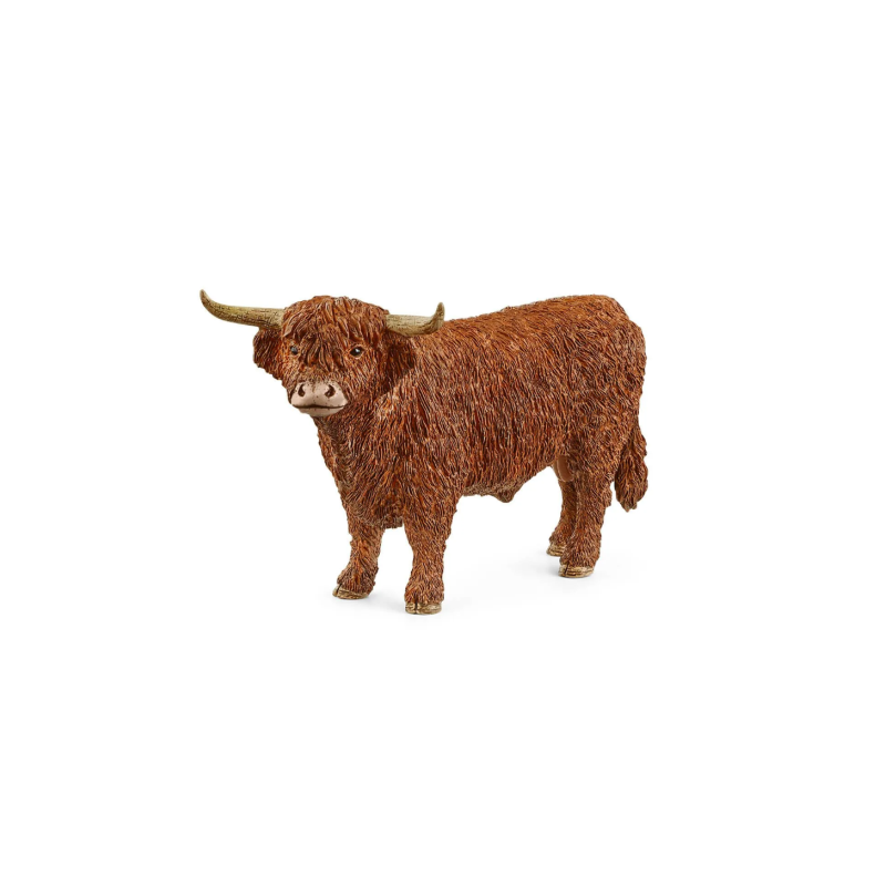 Taureau Highland