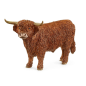 Taureau Highland