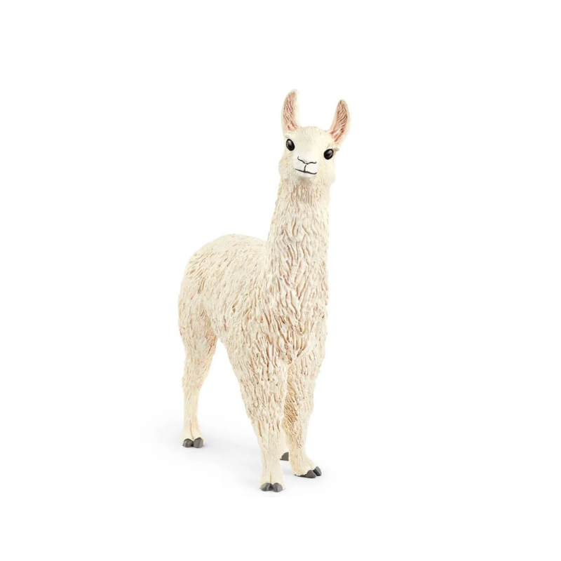 Lama