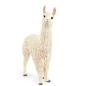 Lama