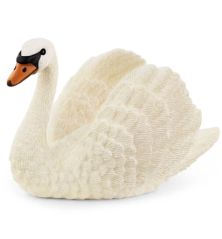 Cygne