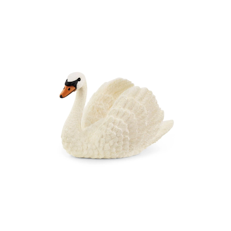 Cygne