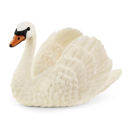 Cygne
