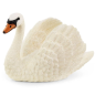 Cygne