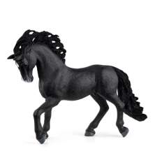 Etalon pure race Espagnole