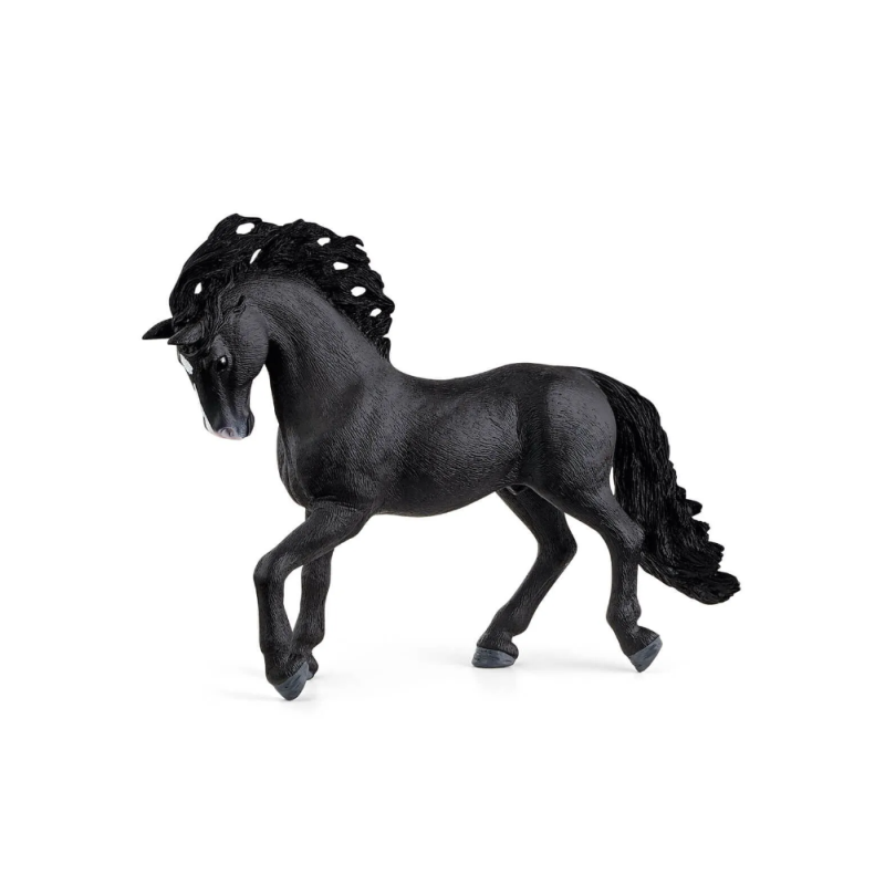 Etalon pure race Espagnole