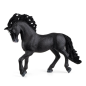Etalon pure race Espagnole