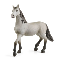 Poulain pure race Espagnole