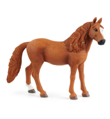 Ponette de Selle Allemande