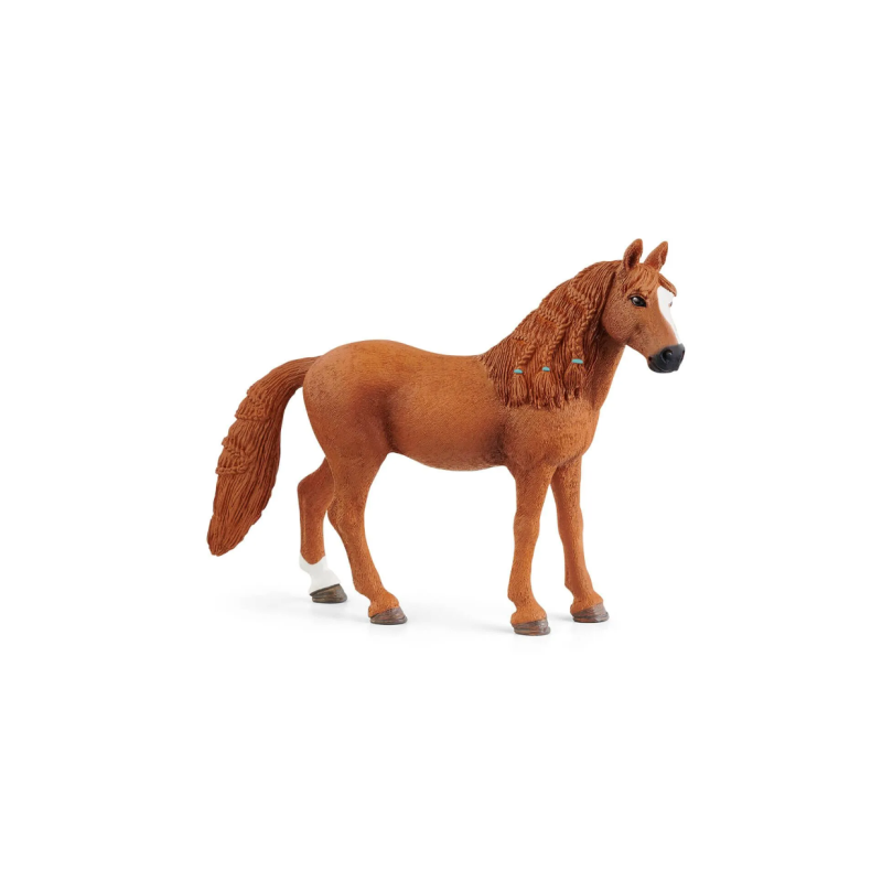 Ponette de Selle Allemande