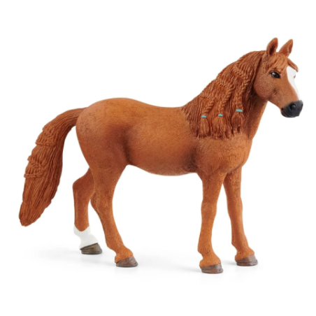Ponette de Selle Allemande