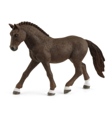 Poney de Selle Allemand Hongre