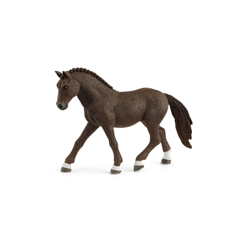 Poney de Selle Allemand Hongre