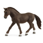 Poney de Selle Allemand Hongre