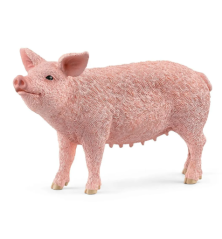 Cochon