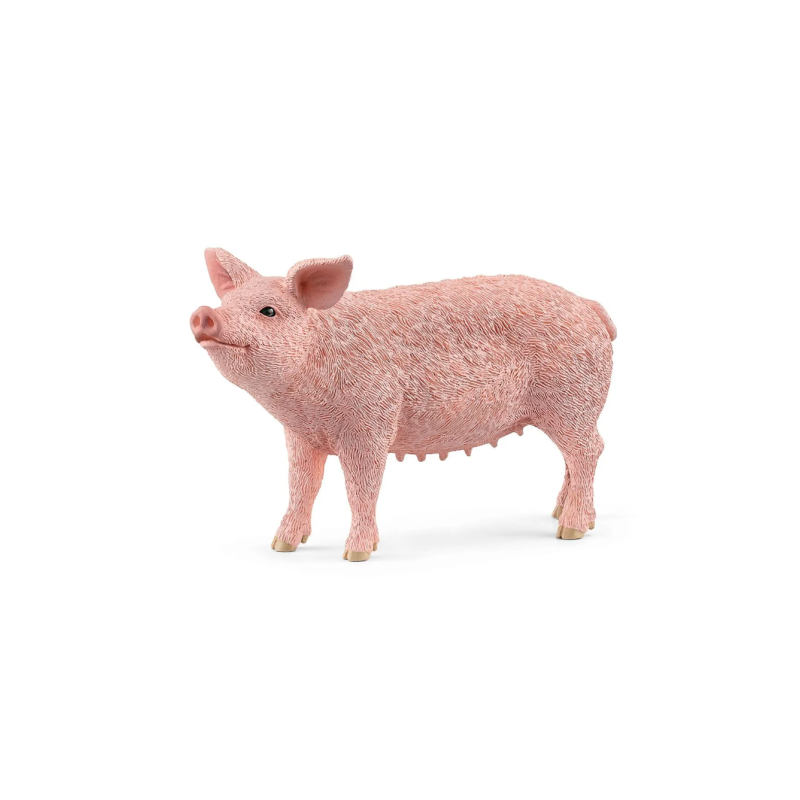 Cochon