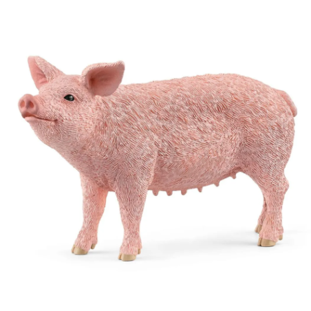 Cochon