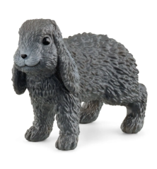 Lapin bélier