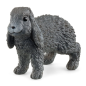 Lapin bélier