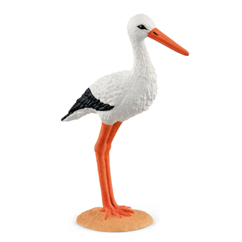 Cigogne