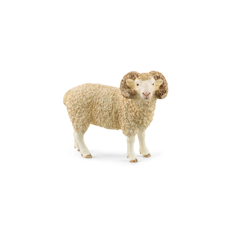 Bélier