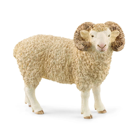 Bélier