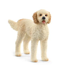 Chien Goldendoodle