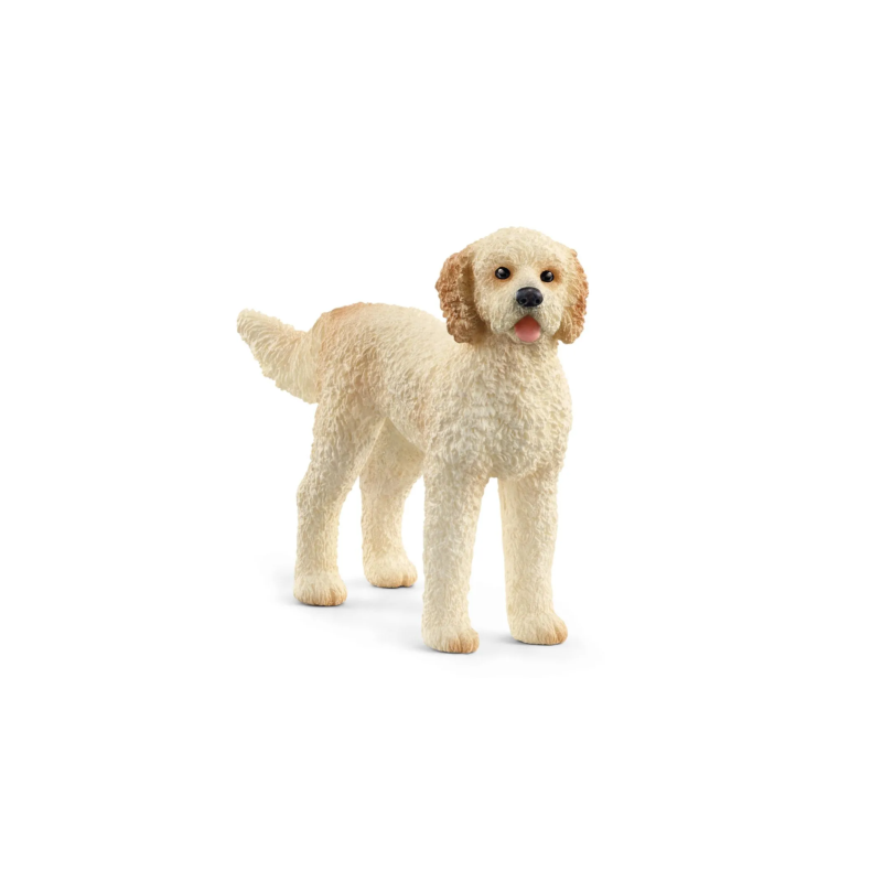 Chien Goldendoodle
