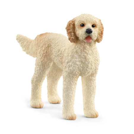 Chien Goldendoodle