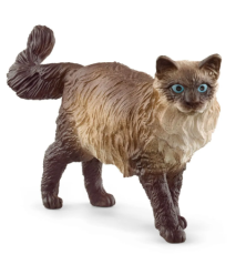 Chat Ragdoll