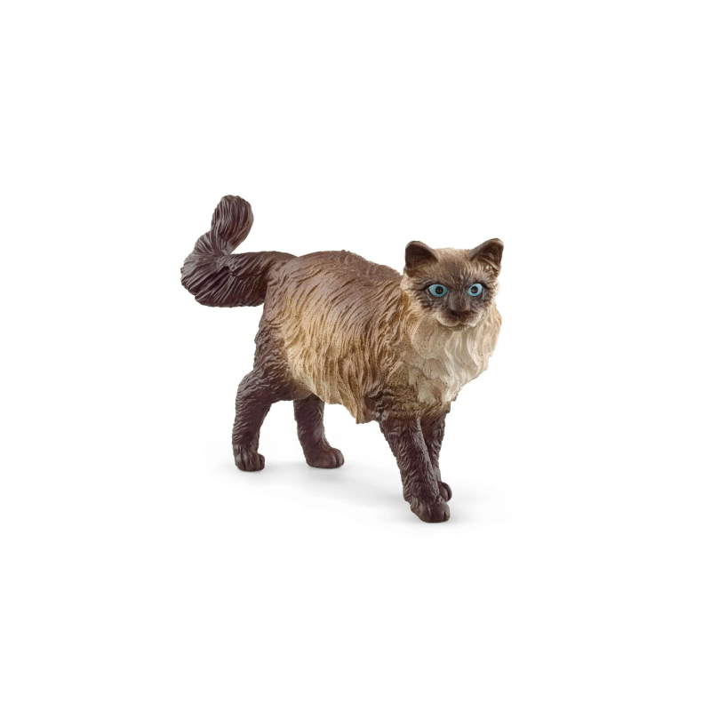 Chat Ragdoll
